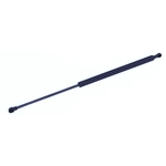 Order Lift Support by TUFF SUPPORT - 612344 For Your Vehicle