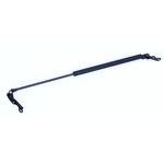 Order TUFF SUPPORT - 612383 - Lift Support For Your Vehicle