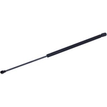 Order TUFF SUPPORT - 612430 - Liftgate Lift Support For Your Vehicle