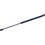 Order TUFF SUPPORT - 612431 - Liftgate Lift Support For Your Vehicle