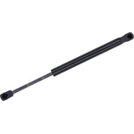 Order TUFF SUPPORT - 612444 - Hood Lift Support For Your Vehicle