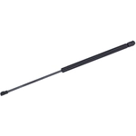 Order TUFF SUPPORT - 612520 - Trunk Lid Lift Support For Your Vehicle