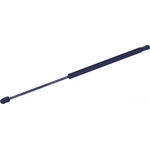 Order TUFF SUPPORT - 612555 - Back Glass Lift Support For Your Vehicle