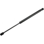 Order TUFF SUPPORT - 612587 - Hood Lift Support For Your Vehicle