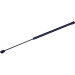Order TUFF SUPPORT - 612588 - Hood Lift Support For Your Vehicle