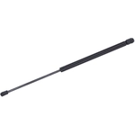 Order Lift Support by TUFF SUPPORT - 612872 For Your Vehicle