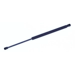 Order TUFF SUPPORT - 612904 - Driver Side Hood Lift Support For Your Vehicle