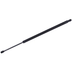 Order TUFF SUPPORT - 612970 - Liftgate Lift Support For Your Vehicle