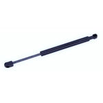 Order Support de levage par TUFF SUPPORT - 612979 For Your Vehicle