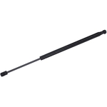 Order Lift Support by TUFF SUPPORT - 612984 For Your Vehicle