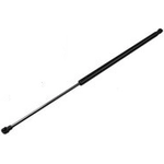 Order TUFF SUPPORT - 612990 - Back Glass Lift Support For Your Vehicle