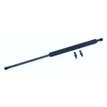 Order Lift Support by TUFF SUPPORT - 612994 For Your Vehicle