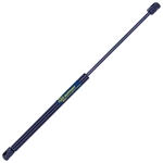 Order TUFF SUPPORT - 613016 - Back Glass Lift Support For Your Vehicle