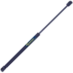 Order TUFF SUPPORT - 613051 - Hood Lift Support For Your Vehicle