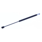 Order TUFF SUPPORT - 613055 - Trunk Lid Lift Support For Your Vehicle