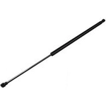 Order TUFF SUPPORT - 613055 - Trunk Lid Lift Support For Your Vehicle