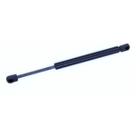 Order Support de levage par TUFF SUPPORT - 613062 For Your Vehicle