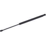 Order Lift Support by TUFF SUPPORT - 613071 For Your Vehicle