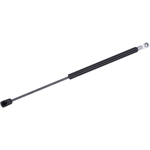 Order Lift Support by TUFF SUPPORT - 613093 For Your Vehicle