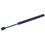 Order Support de levage par TUFF SUPPORT - 613131 For Your Vehicle