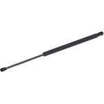 Order Lift Support by TUFF SUPPORT - 613137 For Your Vehicle