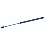 Order Support de levage par TUFF SUPPORT - 613193 For Your Vehicle