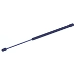 Order Lift Support by TUFF SUPPORT - 613273 For Your Vehicle