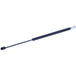 Order Lift Support by TUFF SUPPORT - 613325 For Your Vehicle