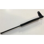 Order Support de levage par TUFF SUPPORT - 613327 For Your Vehicle