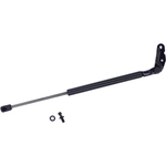 Order Support de levage par TUFF SUPPORT - 613332 For Your Vehicle