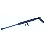 Order Support de levage par TUFF SUPPORT - 613334 For Your Vehicle