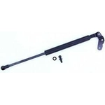 Order Support de levage par TUFF SUPPORT - 613335 For Your Vehicle