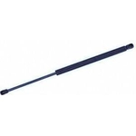 Order Support de levage de TUFF SUPPORT - 613355 For Your Vehicle