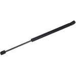 Order Lift Support by TUFF SUPPORT - 613364 For Your Vehicle