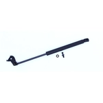 Order Lift Support by TUFF SUPPORT - 613377 For Your Vehicle