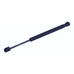Order Lift Support by TUFF SUPPORT - 613386 For Your Vehicle