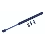 Order Support de levage par TUFF SUPPORT - 613403 For Your Vehicle