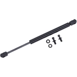 Order Support de levage de TUFF SUPPORT - 613403 For Your Vehicle