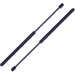 Order Lift Support by TUFF SUPPORT - 613404 For Your Vehicle