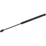 Order Lift Support by TUFF SUPPORT - 613406 For Your Vehicle