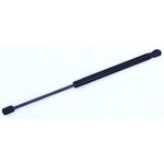 Order Lift Support by TUFF SUPPORT - 613460 For Your Vehicle