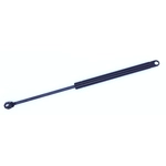 Order Support de levage par TUFF SUPPORT - 613501 For Your Vehicle