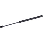 Order Lift Support by TUFF SUPPORT - 613502 For Your Vehicle
