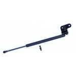 Order Support de levage par TUFF SUPPORT - 613517 For Your Vehicle