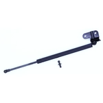 Order Support de levage par TUFF SUPPORT - 613521 For Your Vehicle