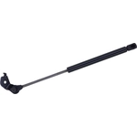 Order Lift Support by TUFF SUPPORT - 613541 For Your Vehicle
