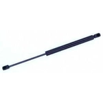Order Lift Support by TUFF SUPPORT - 613547 For Your Vehicle