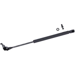 Order Lift Support by TUFF SUPPORT - 613561 For Your Vehicle
