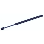 Order Lift Support by TUFF SUPPORT - 613572 For Your Vehicle