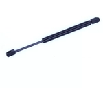 Order TUFF SUPPORT - 613644 - Liftgate Lift Support For Your Vehicle